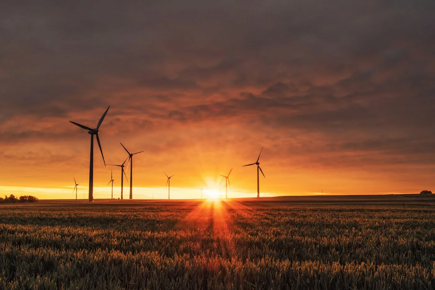 High-voltage electrical utility infrastructure and plant power distribution network